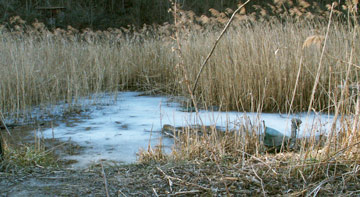 Stagno Buzonel